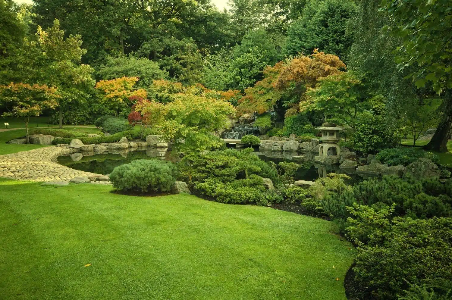 Un jardin bien emménagé